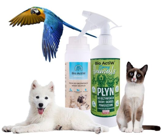 dezynfekcja zwierzeta